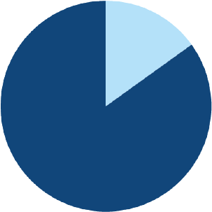 pie chart showing 85% of a circle